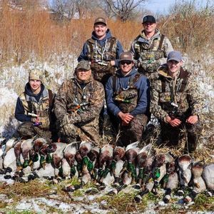 Meet your Posher, Casey